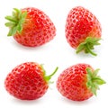 Strawberry. Collection isolated on white Royalty Free Stock Photo