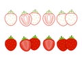 Strawberry collections set in flat style