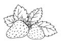 Strawberry coloring book whole ripe sweet fruit Royalty Free Stock Photo