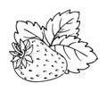 Strawberry coloring book whole ripe sweet fruit Royalty Free Stock Photo