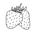 Strawberry coloring book whole ripe sweet fruit Royalty Free Stock Photo