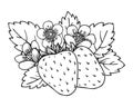 Strawberry coloring book whole ripe sweet fruit Royalty Free Stock Photo