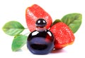 Strawberry concentrate bottle Royalty Free Stock Photo