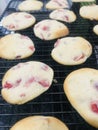 Strawberry Cookies Forever Royalty Free Stock Photo