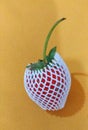 Strawberry covered by net