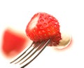 Strawberry & Cream Royalty Free Stock Photo