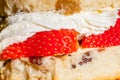 Strawberry cream scone in close up. Sweet afternoon dessert treat. Royalty Free Stock Photo