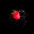 Strawberry in cream splash on black background Royalty Free Stock Photo