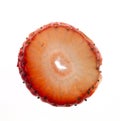 Strawberry Cross Section Royalty Free Stock Photo