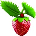 Strawberry 3d vector icon isolated on white background. Realistic sweet fruit. Royalty Free Stock Photo