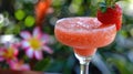 a strawberry daiquiri, with fresh strawberries, rum, lime juice, and simple syrup, blended with ice Royalty Free Stock Photo