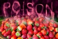 Strawberry danger fruit from chemical Insecticide and pesticide residues poisonous