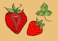 Strawberry