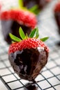 Strawberry dessert, Dark chocolate covered strawberry, fresh strawberry dipped in melted dark chocolate Royalty Free Stock Photo