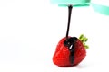 Strawberry dipped in chocolate fondue Royalty Free Stock Photo