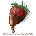 Strawberry dipped in chocolate fondue vector Royalty Free Stock Photo