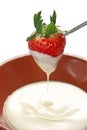Strawberry dipped in white chocolate fondue Royalty Free Stock Photo