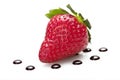 Strawberry with drop of chocolate Royalty Free Stock Photo