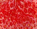 Strawberry extreme close-up