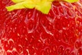 Strawberry extreme close-up Royalty Free Stock Photo