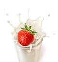 Strawberry falling into a glass of milk creating a splash. Royalty Free Stock Photo