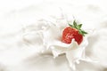 Strawberry falling into a sea of milk, causing a splash. Royalty Free Stock Photo