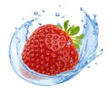 Strawberry falling into water splash isolated on white background Royalty Free Stock Photo