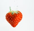 Strawberry falls deeply under water with a big splash. Fruit sinking in clear water on white background Royalty Free Stock Photo