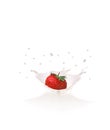 Strawberry falls into milk causing splash Royalty Free Stock Photo