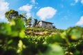 Strawberry Farm Background Image. Strawberry Farm Beautiful nature. At Angkhang