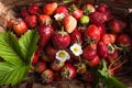 Strawberry field on fruit farm. Fresh ripe organic strawberries in old basket on pick your own berry plantation Royalty Free Stock Photo