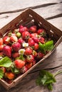 Strawberry field on fruit farm. Fresh ripe organic strawberries in old basket on pick your own berry plantation Royalty Free Stock Photo