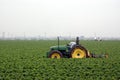 Strawberry field and tractor Royalty Free Stock Photo