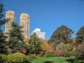 Strawberry Fields in Central Park in New York City Royalty Free Stock Photo