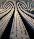 Strawberry fields i n vertical rows covered in black plastic