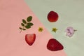 strawberry flower head slice and acacia leaves in pastel colors, creative summer design