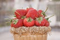 Strawberry ,focus on group of strawberries in basket on natural