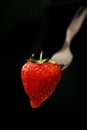 Strawberry on fork Royalty Free Stock Photo