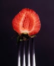Strawberry on a fork on a black background Royalty Free Stock Photo