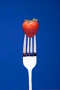 Strawberry on Fork - blue background Royalty Free Stock Photo