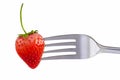 Strawberry on fork on white background which fresh juicy ripe red for dessert and food concept Royalty Free Stock Photo