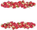 Strawberry frame Royalty Free Stock Photo