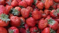 Strawberry. Fresh organic strawberries in daylight on a market. Fruits background. Healthy food. Strawberry background Royalty Free Stock Photo