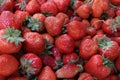 Strawberry. Fresh organic strawberries in daylight on a market. Fruits background. Healthy food. Strawberry background Royalty Free Stock Photo