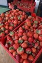 Strawberry. Fresh organic strawberries in daylight on a market. Fruits background. Healthy food. Strawberry background Royalty Free Stock Photo