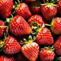 Strawberry fresh raw organic fruit