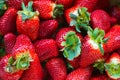 Strawberry. Fresh and ripe organic Strawberries Background, Vegetarian healthy food backdrop Royalty Free Stock Photo