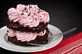 Strawberry Frosted Chocolate Torte Cake