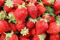 Strawberry fruit background