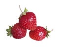 Strawberry, fruit, berry, isolated, food, red, fresh, ripe, white, strawberries, sweet, dessert, healthy, closeup, juicy, diet, de